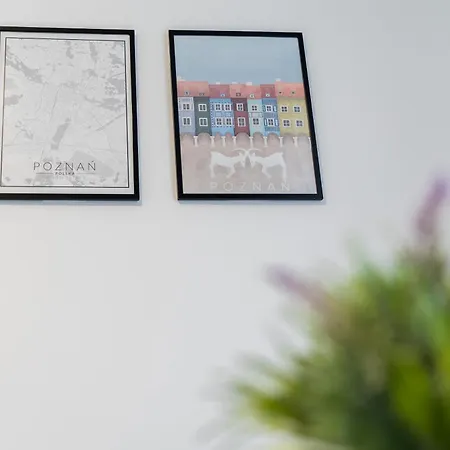 Rynek Jezycki Deluxe Poznaň